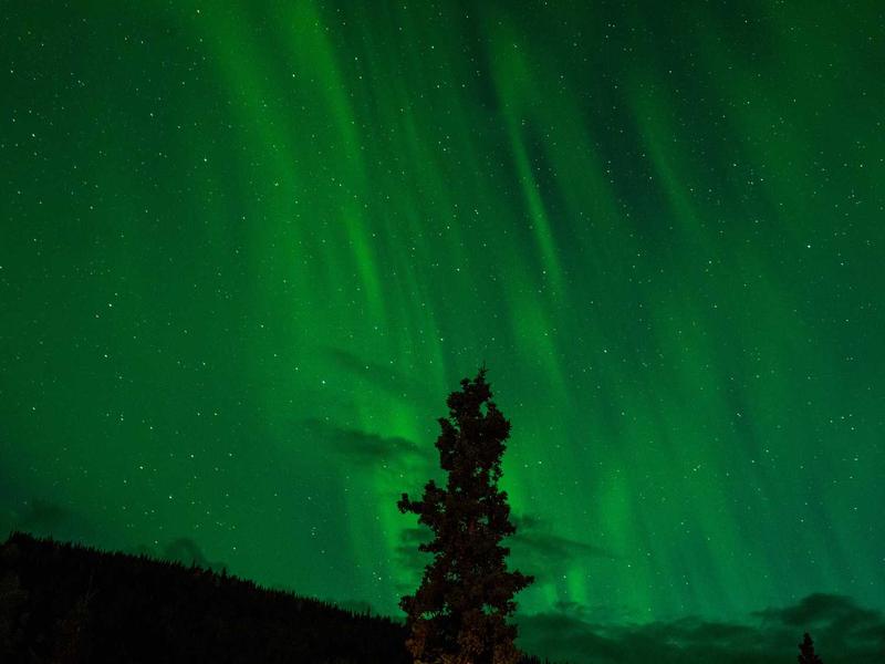 Fresh herbs tied in a bundle