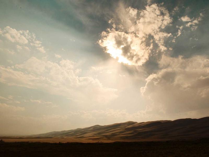 Farm fresh eggs in a carton